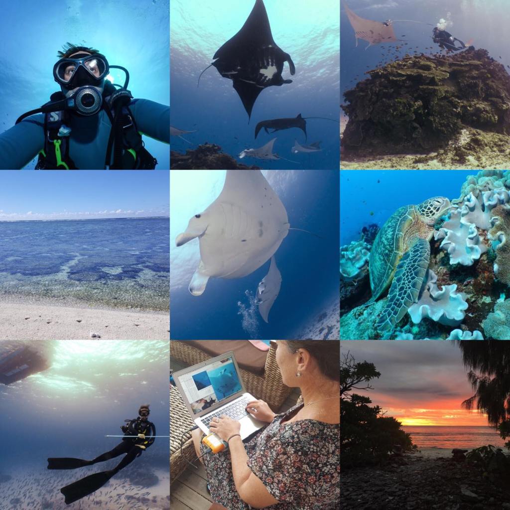 Featured ‘day in the life of’: Steph, a PhD student & manta ray researcher.
