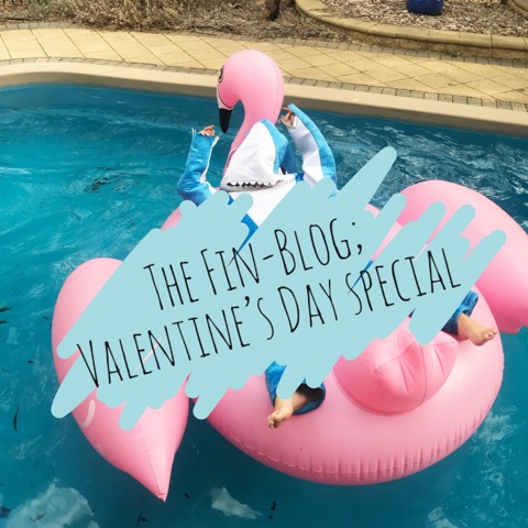 The Fin-Blog; Valentine’s Day Special